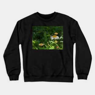 White and Yellow Flowers in a Field Crewneck Sweatshirt